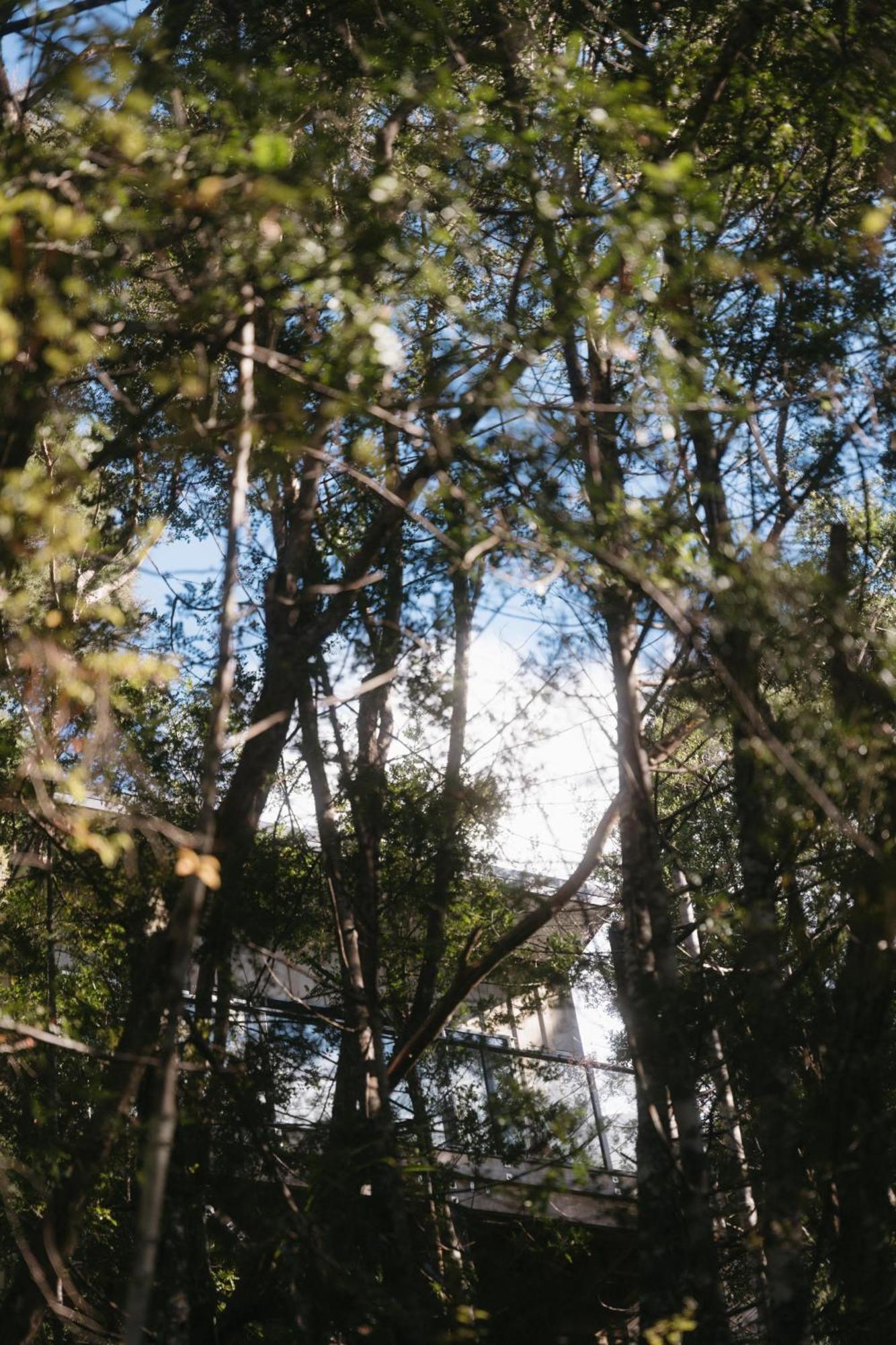 Treetop Tranquility At Rekindle Tree Houses Opua Экстерьер фото