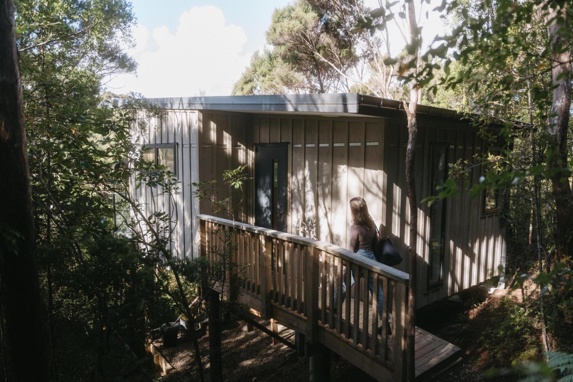 Treetop Tranquility At Rekindle Tree Houses Opua Экстерьер фото
