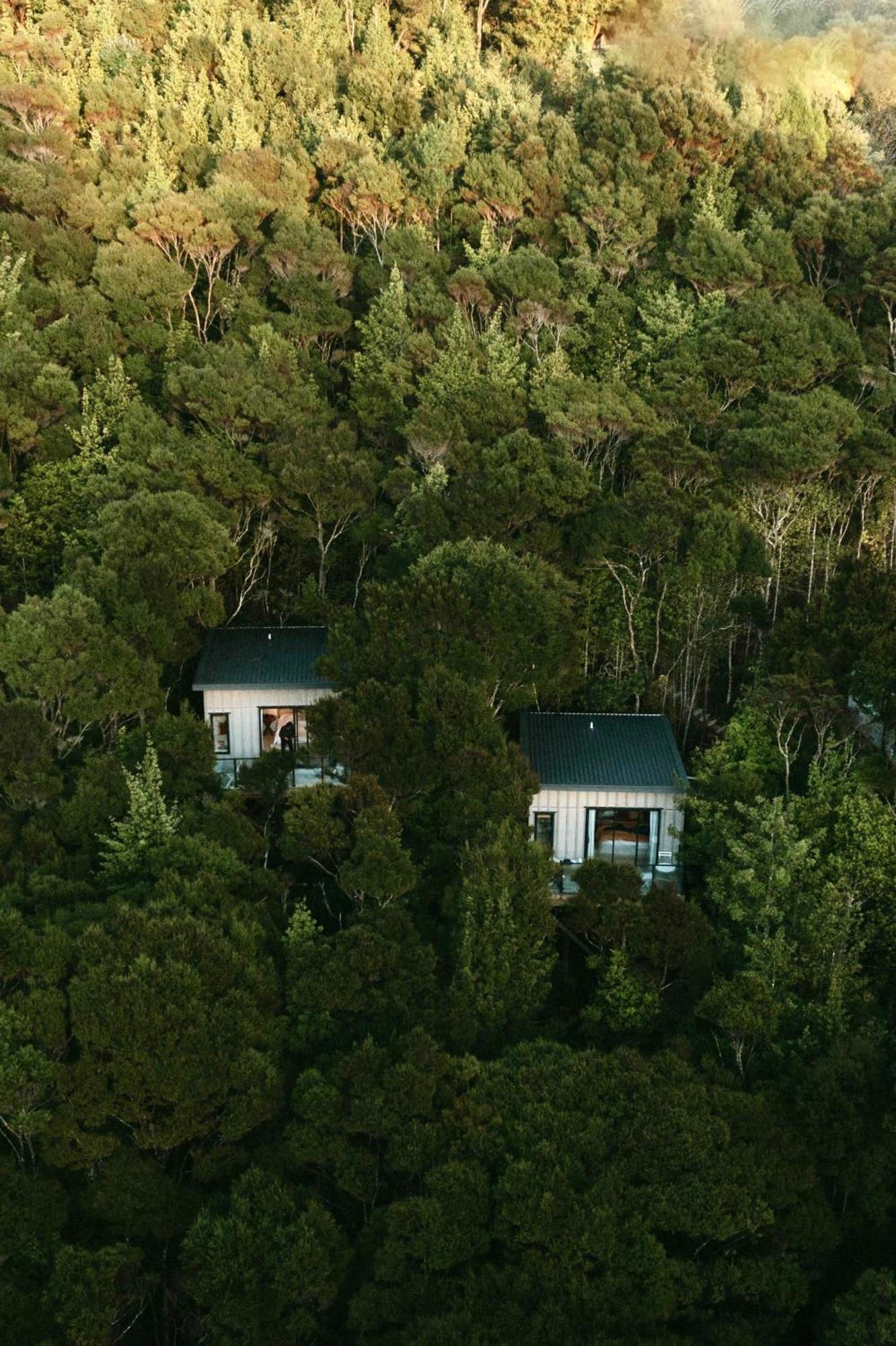 Treetop Tranquility At Rekindle Tree Houses Opua Экстерьер фото